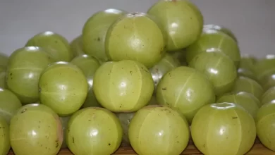 Why people like to drink Amla Juice and Know its health benefits