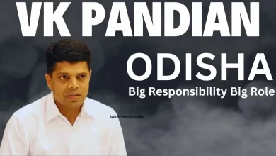 VK Pandian Odisha